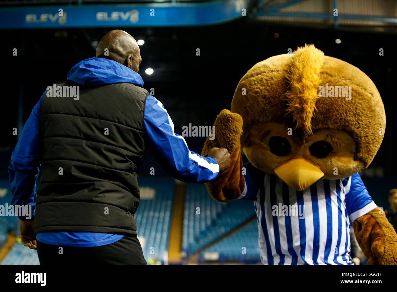 Sheffield united mascot hires stock photography and images Alamy