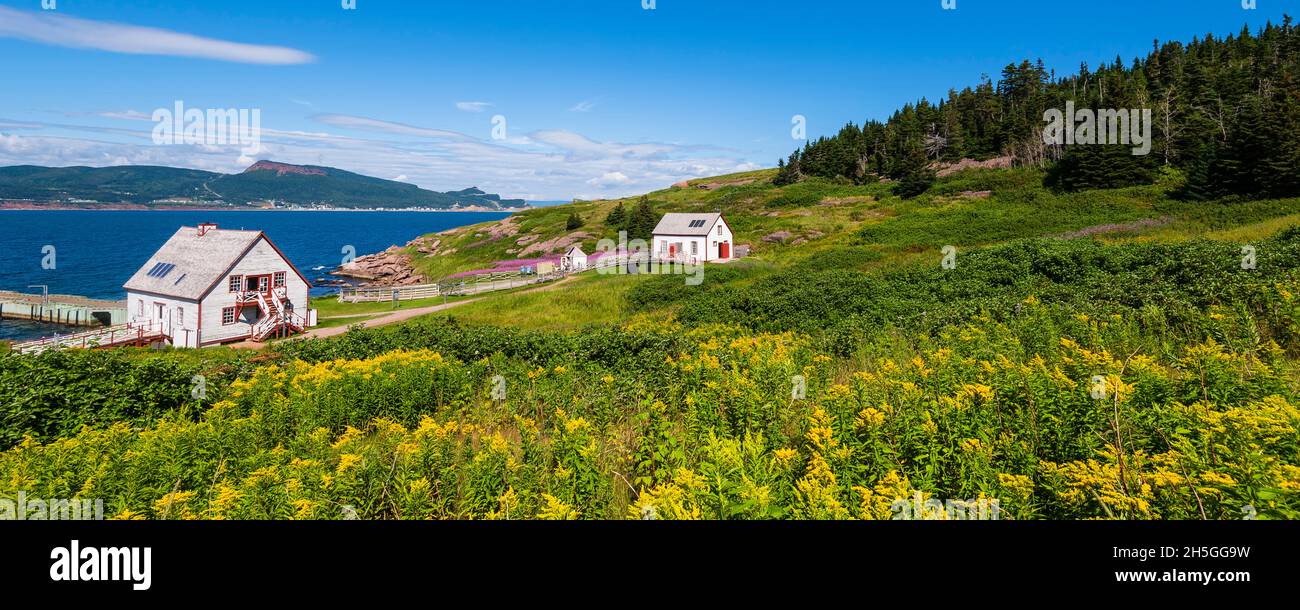 Bonaventure Island and the Gaspe Peninsula; Quebec, Canada Stock Photo