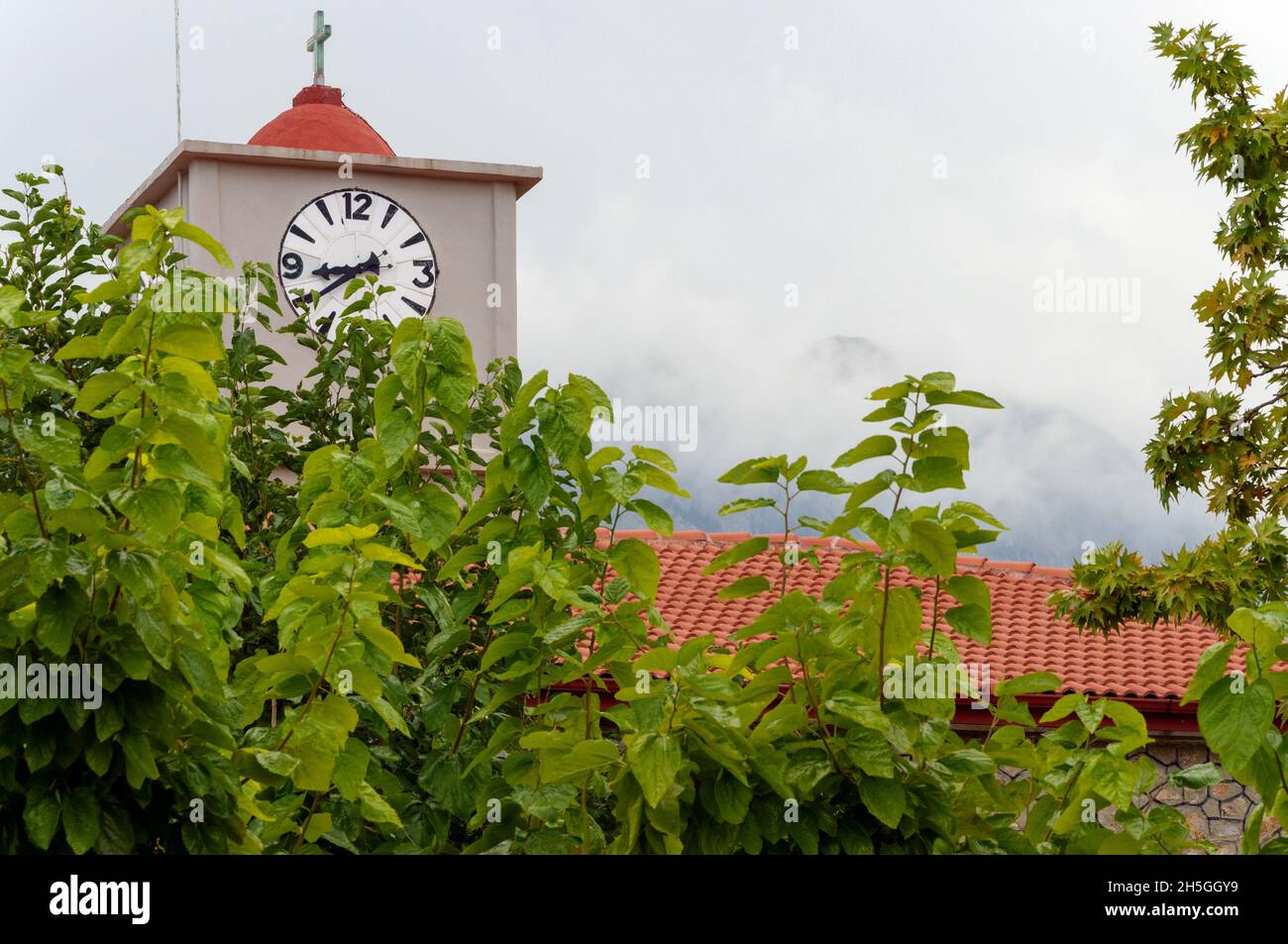 A church clock coming out through the thick leaves of green trees, Fokida, Greece Stock Photo