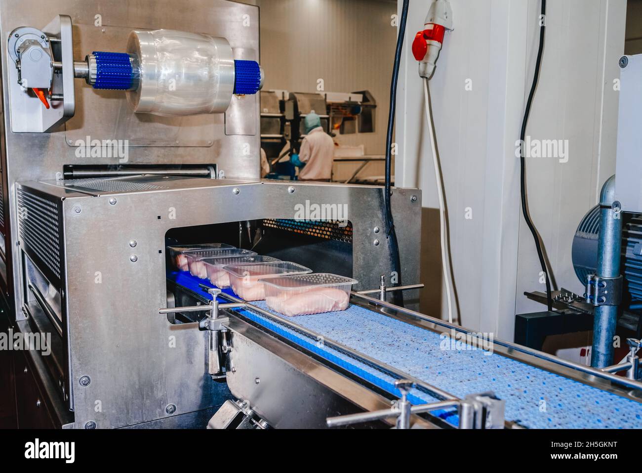 Meat processing plant.Chicken fillet production line .Automated ...