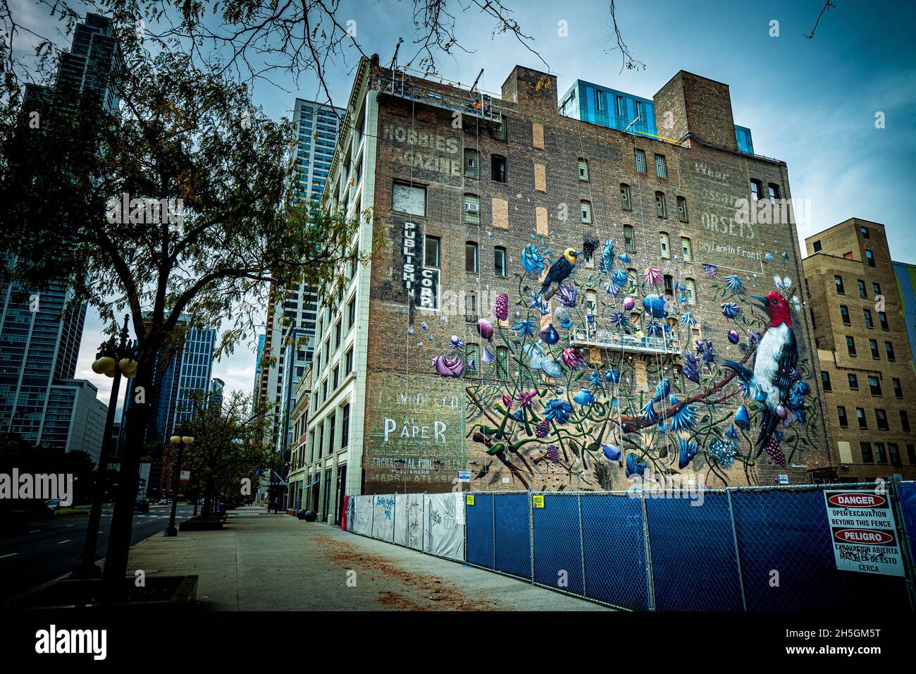 A beautiful birds and flowers mural painted on the brick wall of a house at downtown Chicago, IL