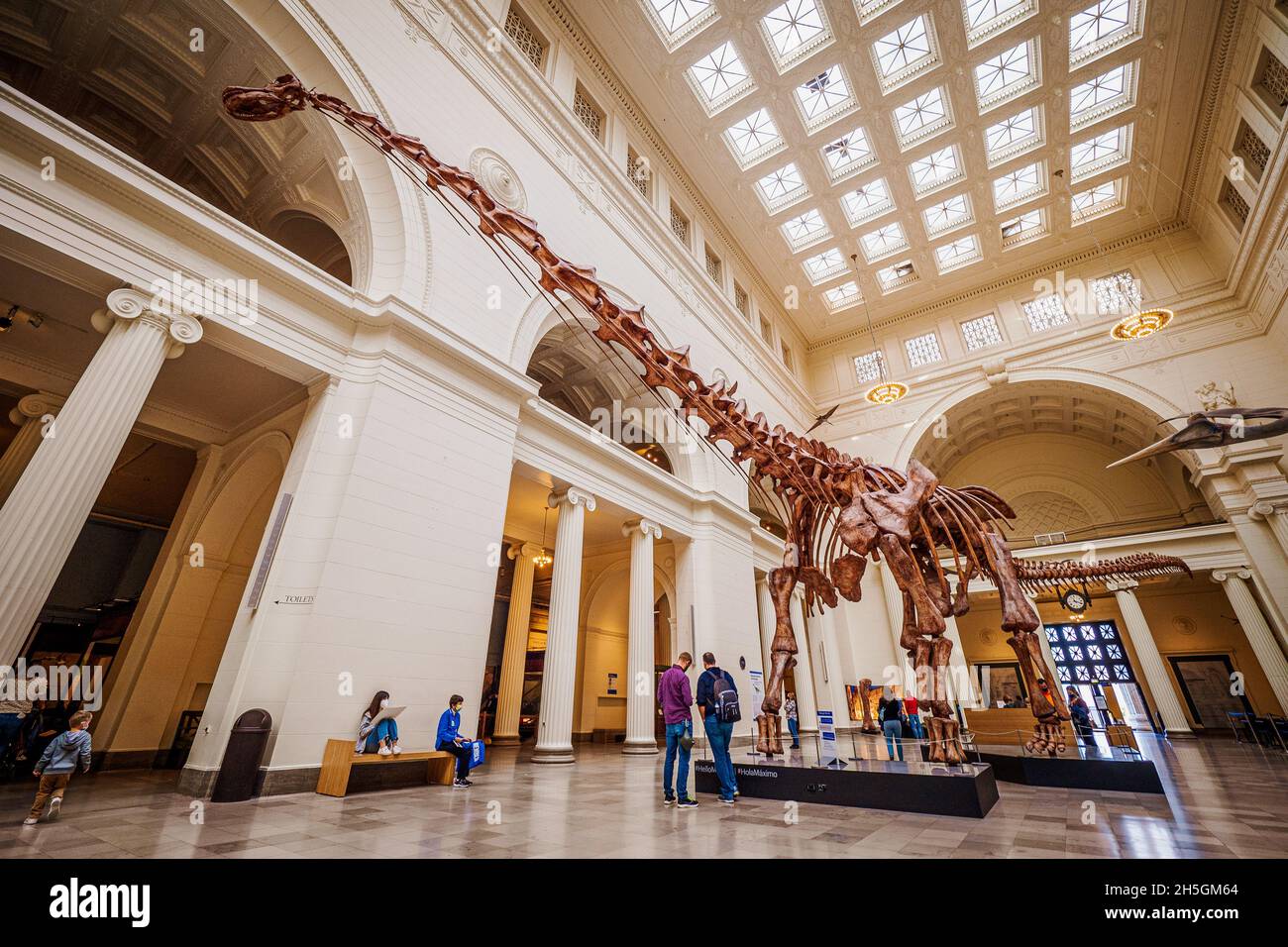 Patagotitan fossil hi-res stock photography and images - Alamy