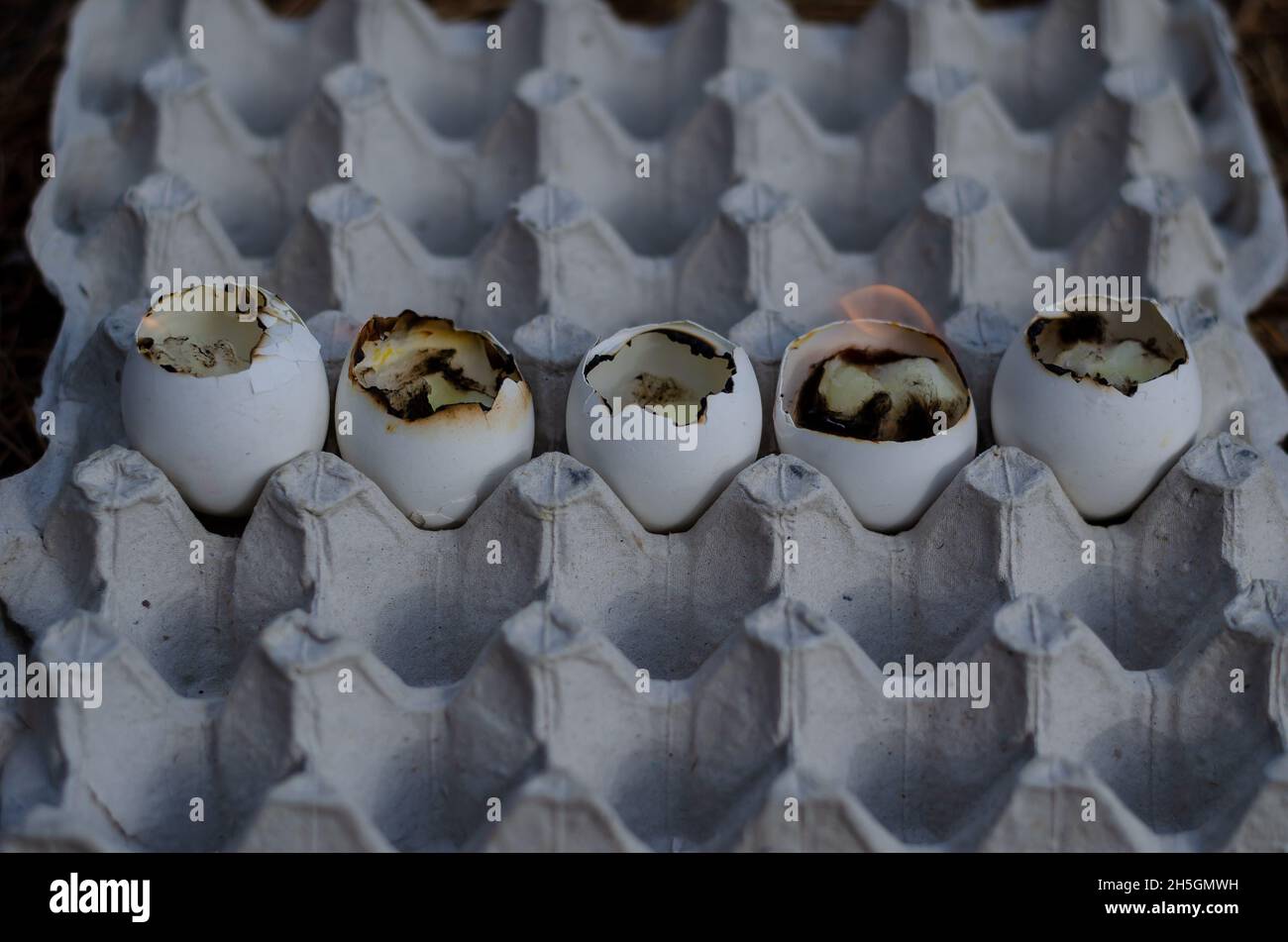 Empty eggshell candles burn in the egg tray. Five burning eggshells in a row. Selection trick. Stock Photo