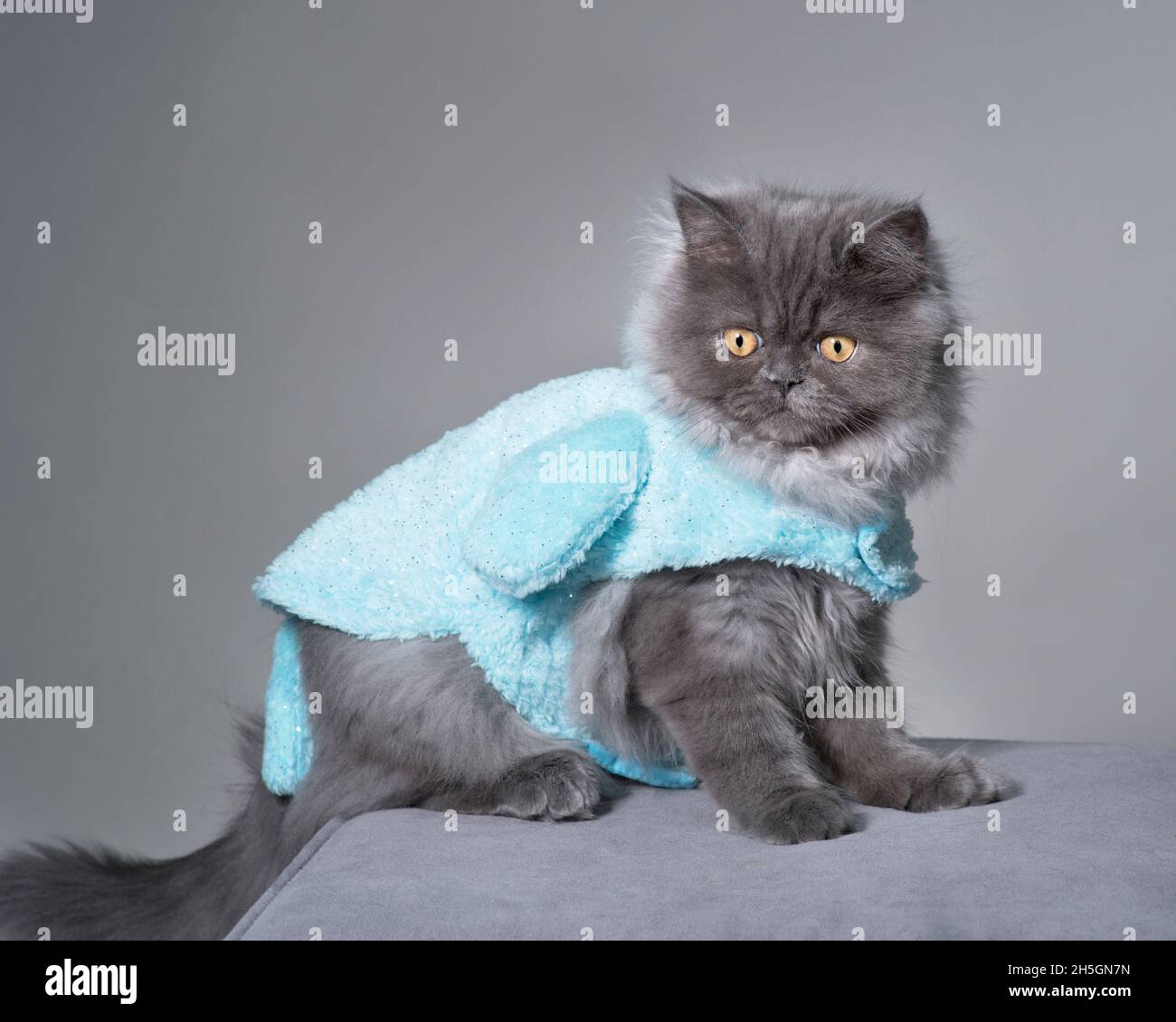 Grey cat costume hot sale
