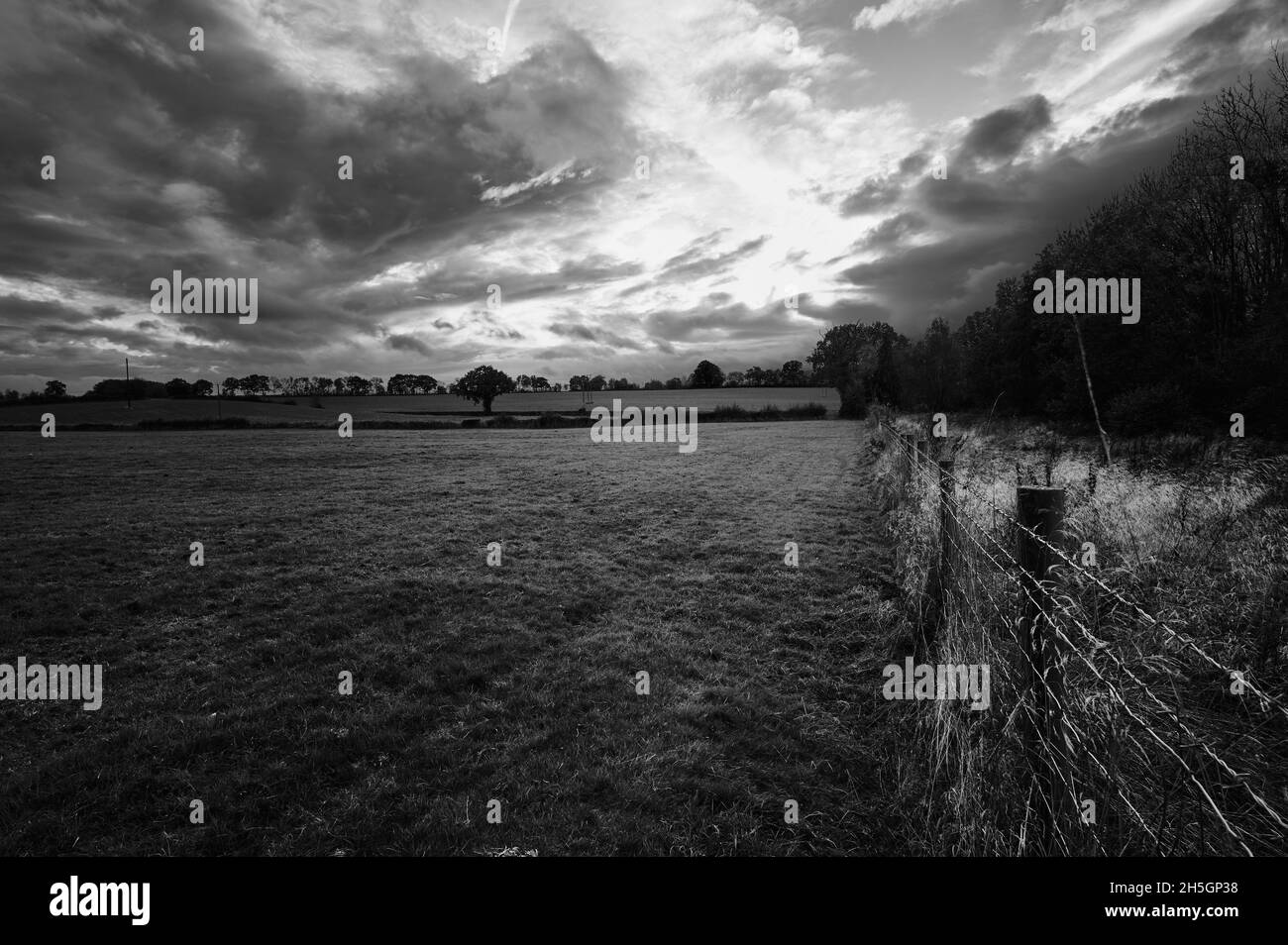 High contrast black and white monochrome image of barbed wire fence in ...