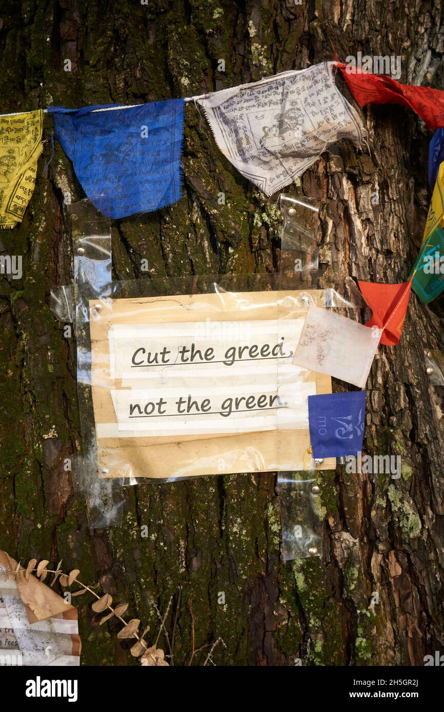 Sign protesting the cutting down of on old tree in Vancouver, British Columbia, Canada Stock Photo