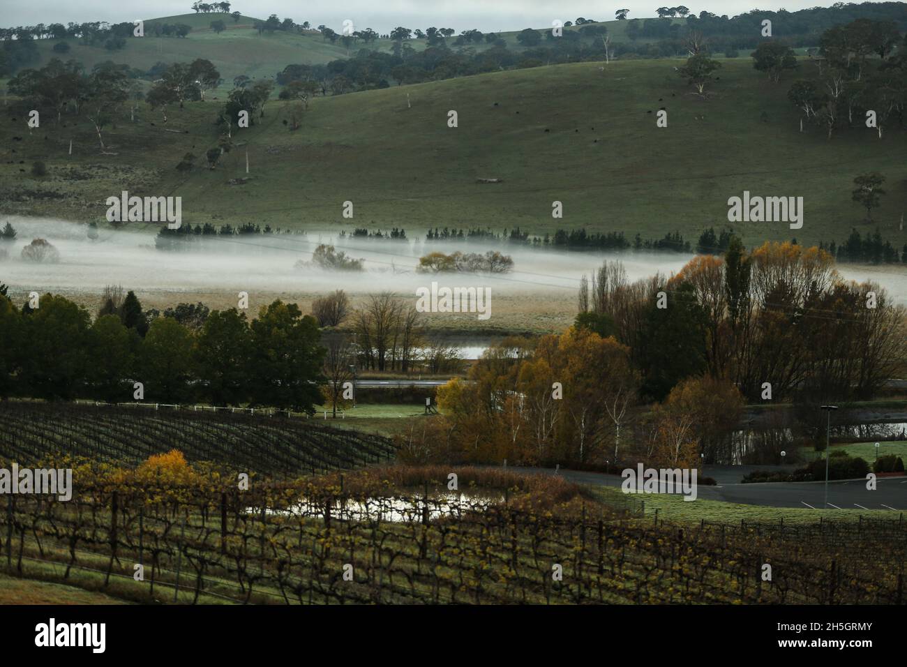 Orange nsw hires stock photography and images Alamy