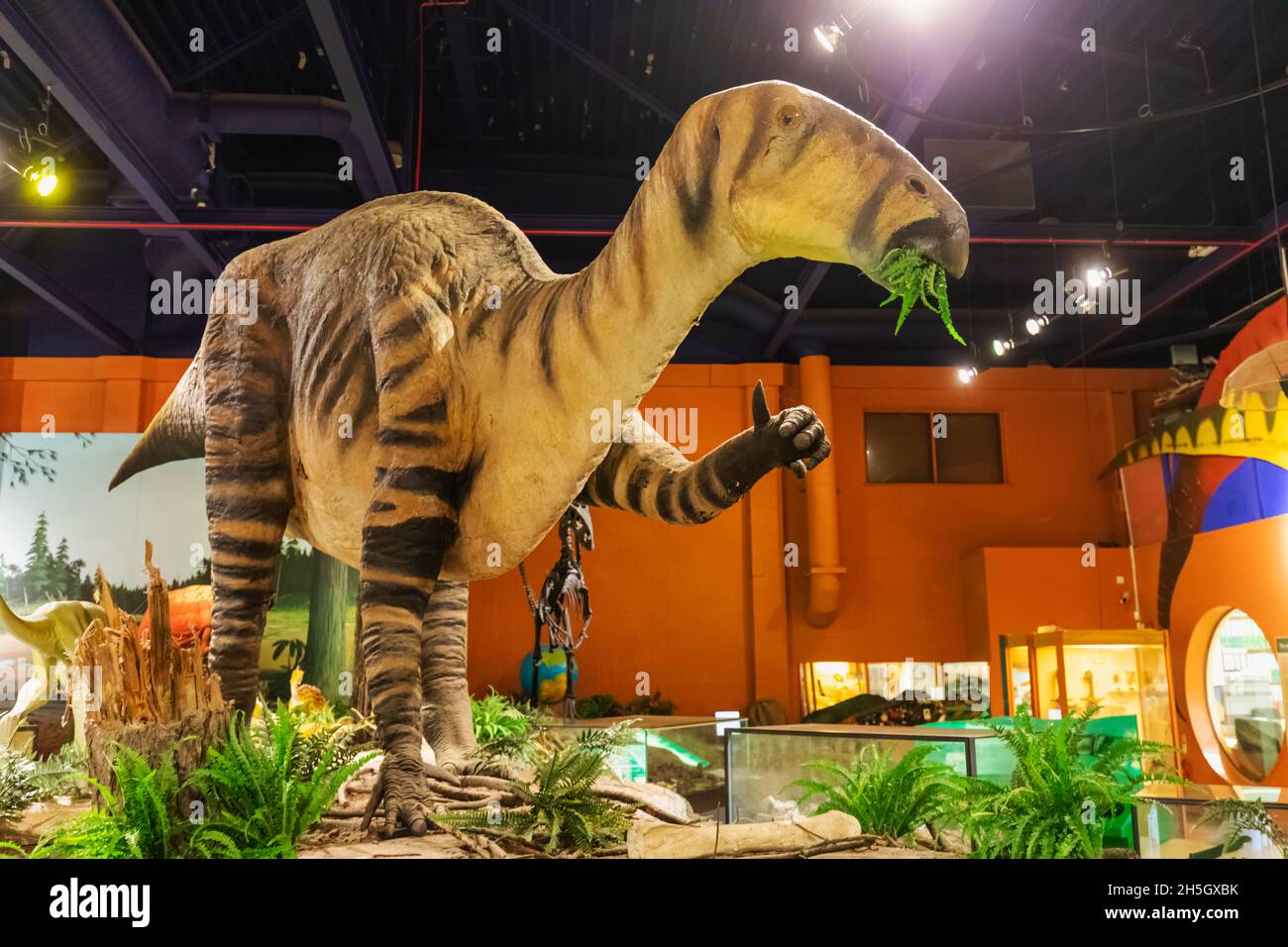 England, Isle of Wight, Sandown, Dinosaur Isle Museum, Model of a