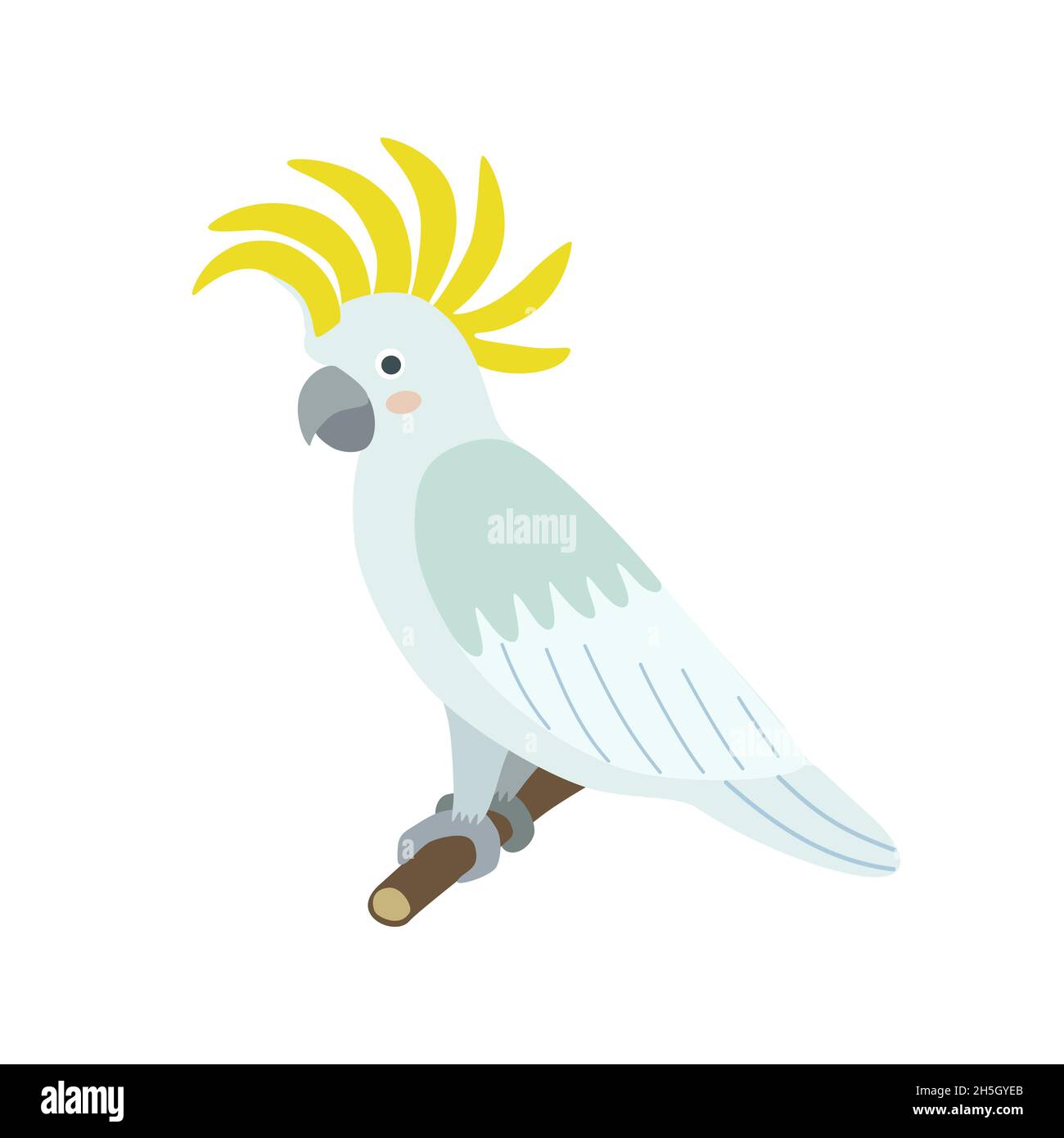 Grey And White Plumage Stock Vector Images Alamy
