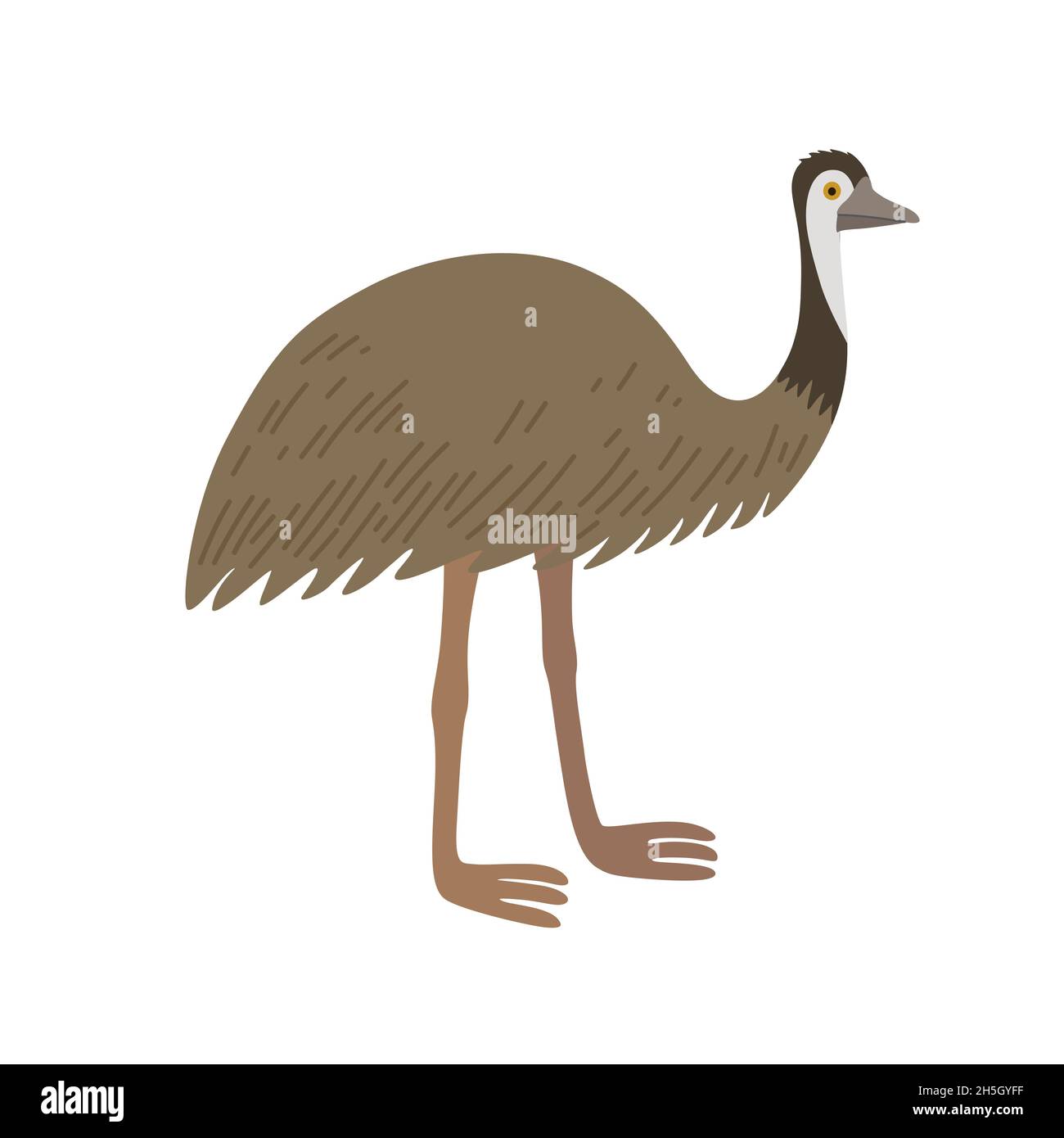 Cartoon ostrich emu isolated on white background. Bird of Australian fauna.  Stock Vector