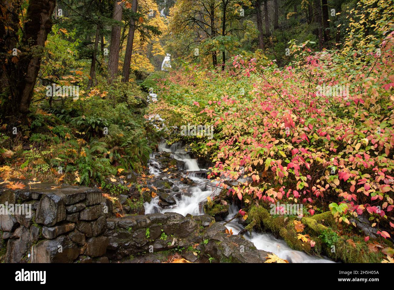 Cascade type hi-res stock photography and images - Alamy