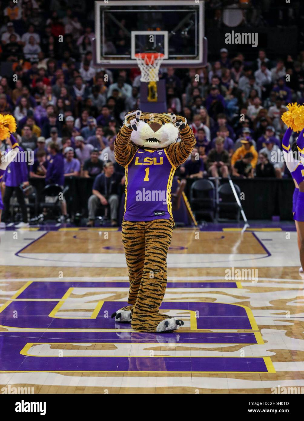 Baton Rouge, LA, USA. 9th Nov, 2021. LSU mascot Mike the Tiger cheers on the crowd during NCAA Basketball action between the ULM Warhawks and the LSU Tigers at the Pete Maravich