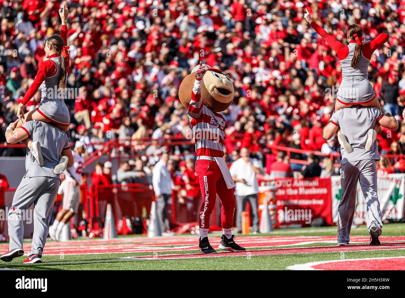 Lincoln, NE. U.S. 06th Nov, 2021. Brutus (mascot) and the Ohio State Buckeyes cheerleaders celebrate after scoring in action during a NCAA Division 1 football game between Ohio State Buckeyes and the Nebraska Cornhuskers at Memorial Stadium in Lincoln, NE. Ohio State won 26-17.Attendance: 84,426.381st consecutive sellout.Michael Spomer/Cal Sport Media/Alamy Live News Stock Photo