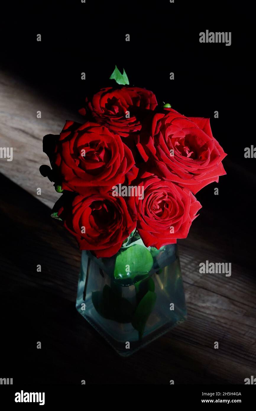A bouquet of red roses lit by a small beam of sunlight Stock Photo - Alamy