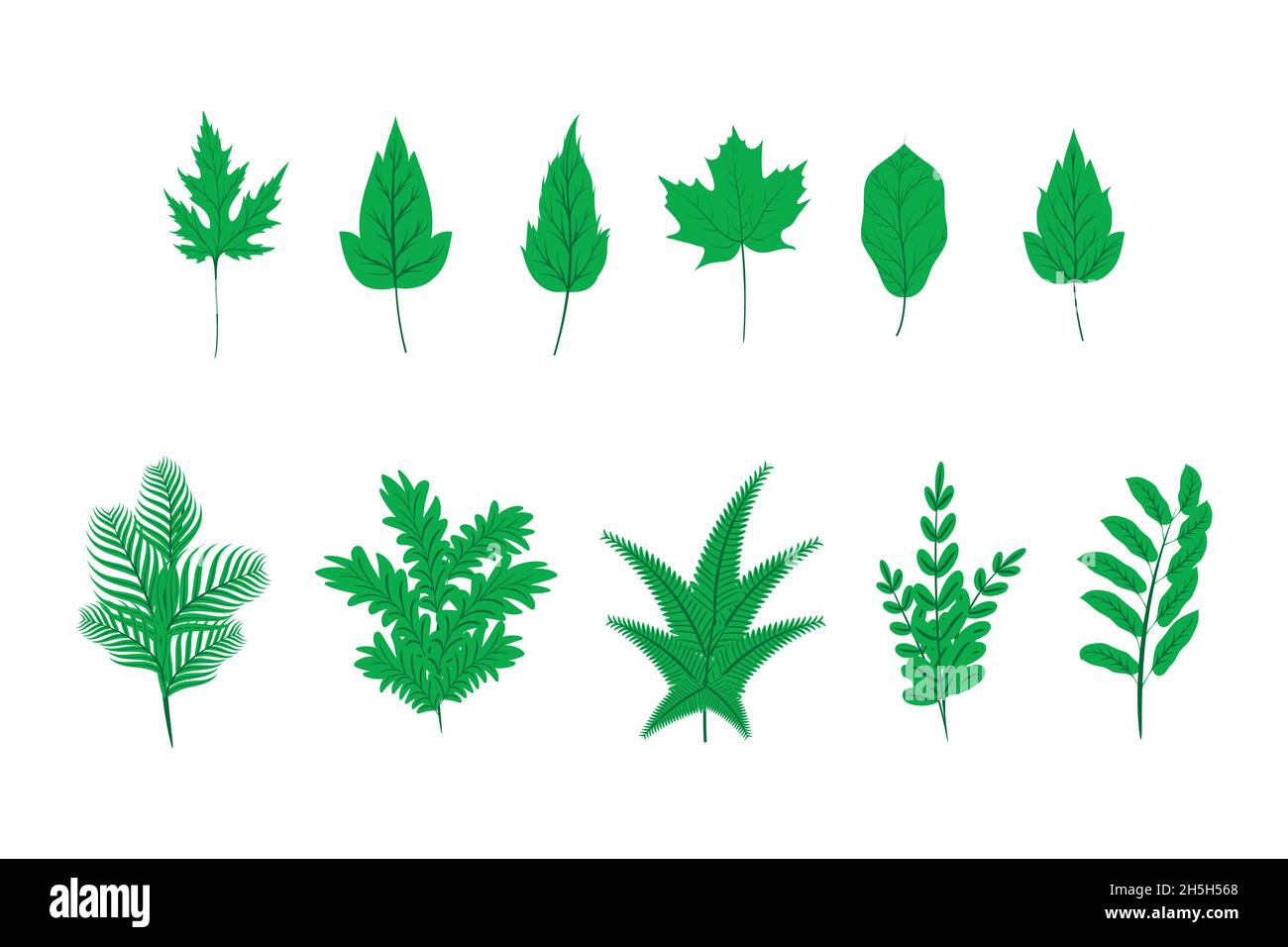 Collection of green plant leaves in flat style Stock Vector Image & Art ...