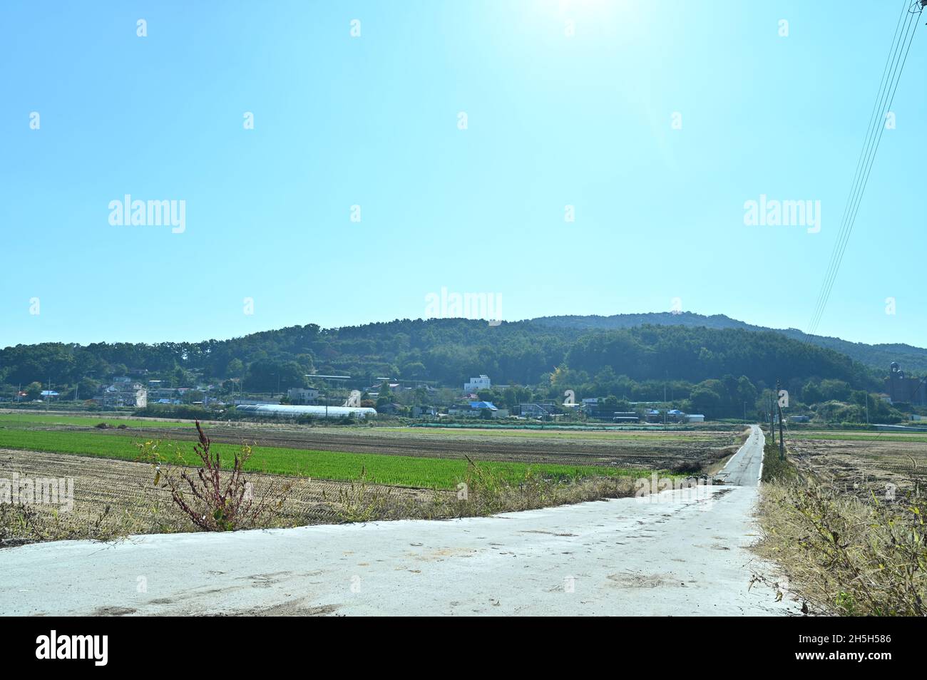 You can feel peace in the clear sky and the scenery of the countryside, and the long road makes you want to travel somewhere. Stock Photo