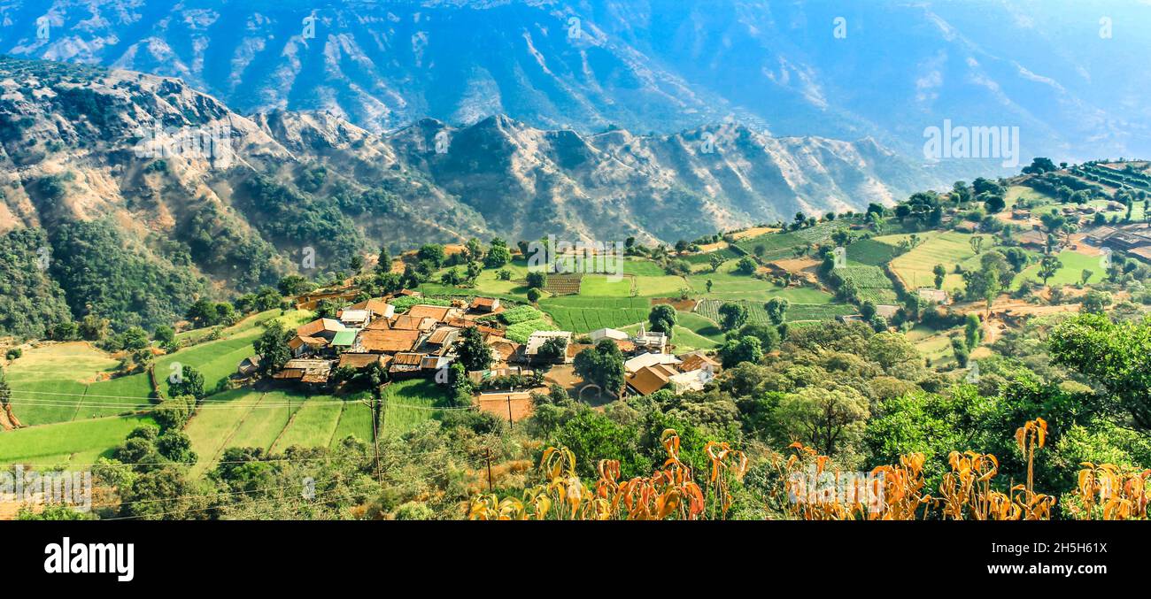 Kaas Plateau Mahabaleshwar, Satara Stock Photo Alamy