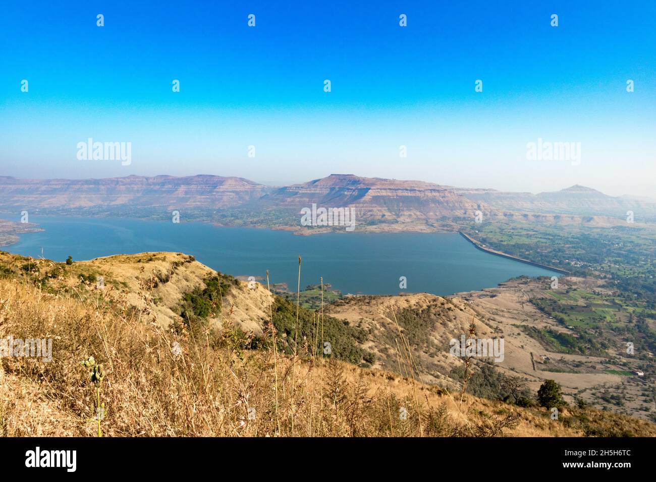 Kaas Plateau Mahabaleshwar, Satara Stock Photo Alamy