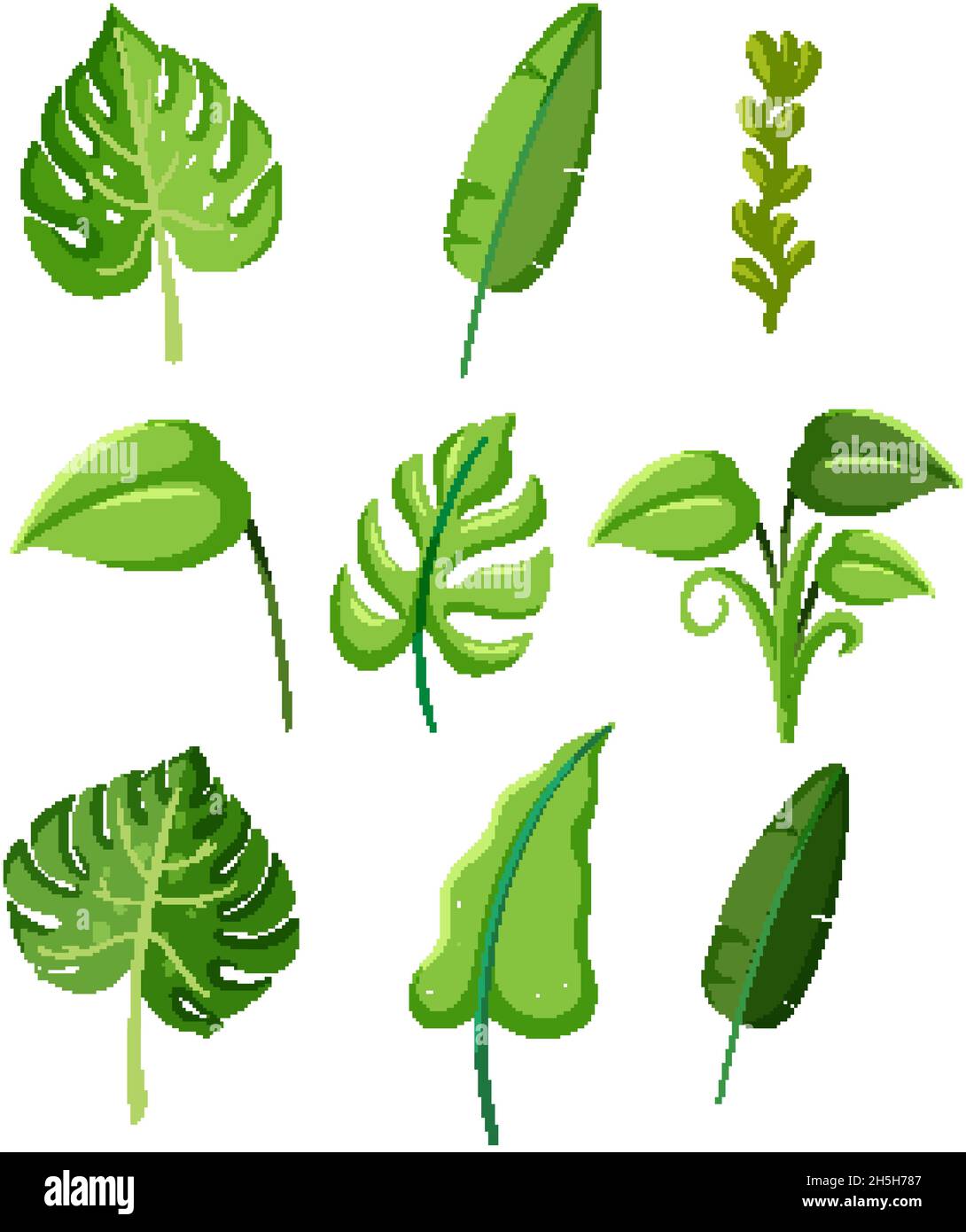 Set of tropical green plant leaves illustration Stock Vector Image ...