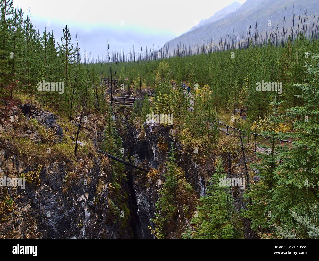 Beautiful view of popular gorge Marble Canyon in Kootenay National Park ...
