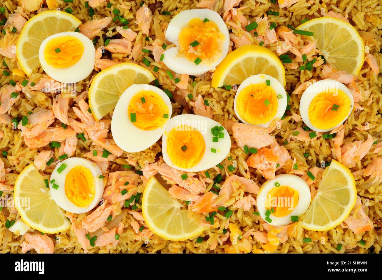 Salmon kedgeree meal background with flaked salmon and spicy curry