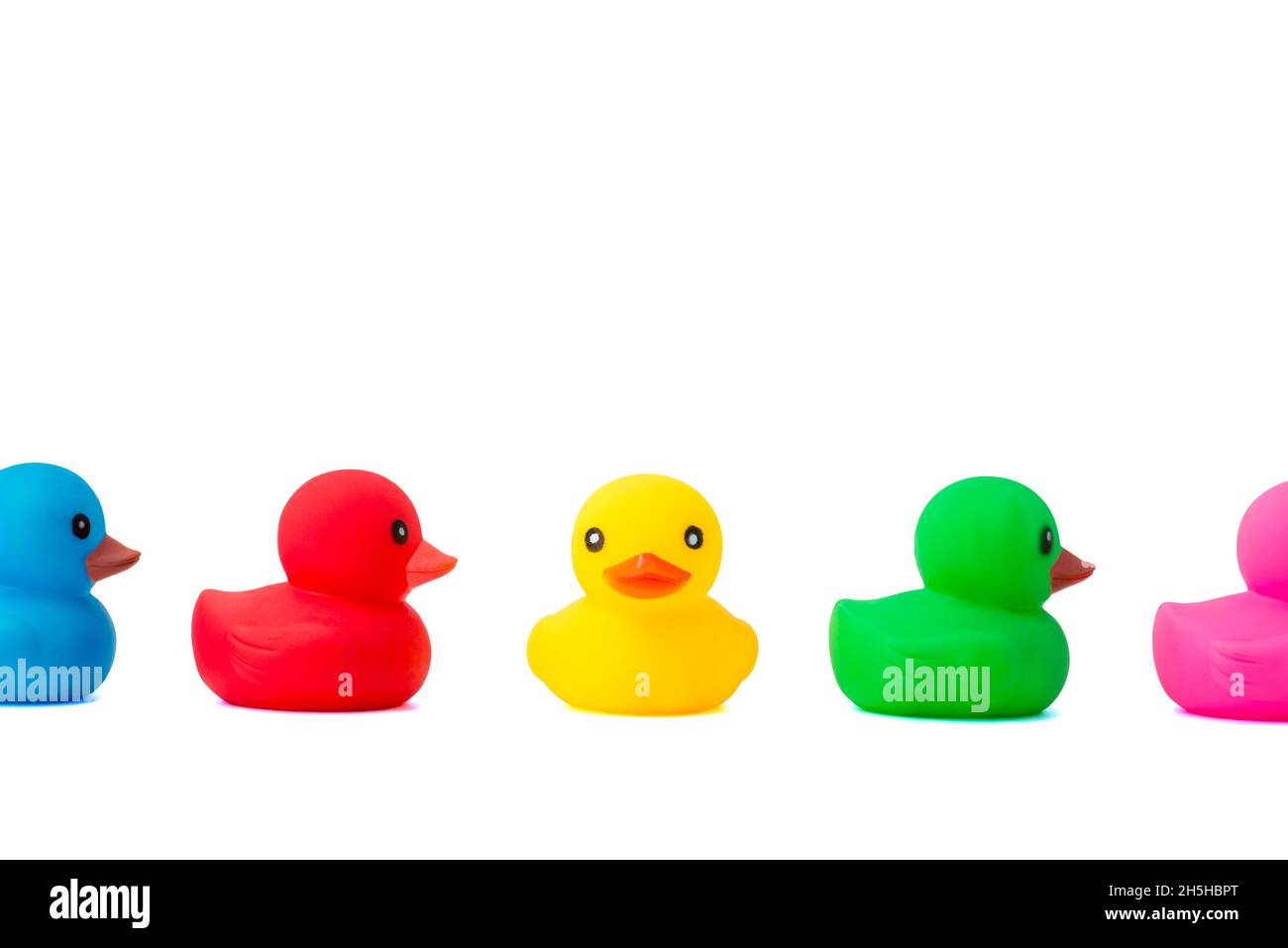 A row of rubber ducks on a white background. Bright colored rubber