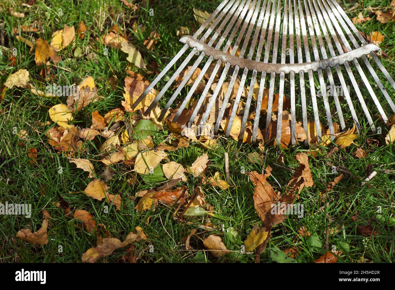 Leaf Rake High Resolution Stock Photography and Images - Alamy