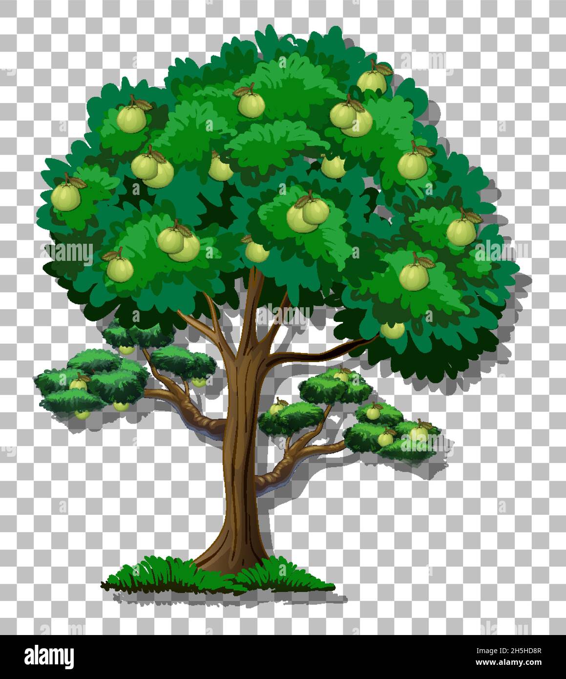 guava tree clip art