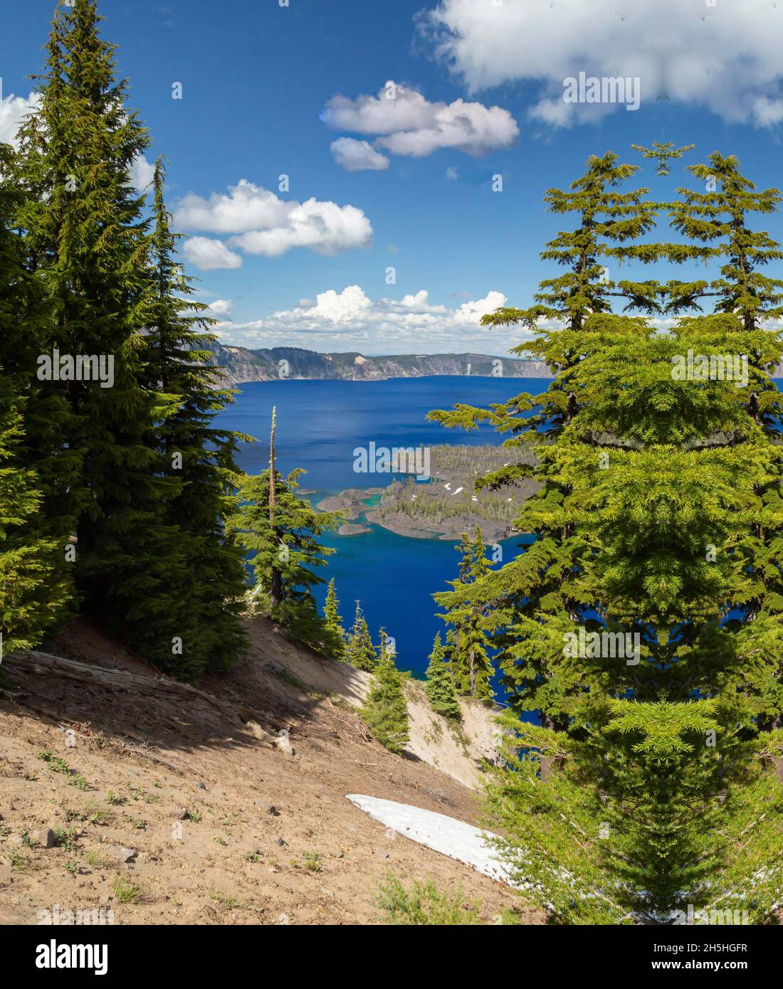 Blue water in a forest lake with pine trees, view of a beautiful lake ...
