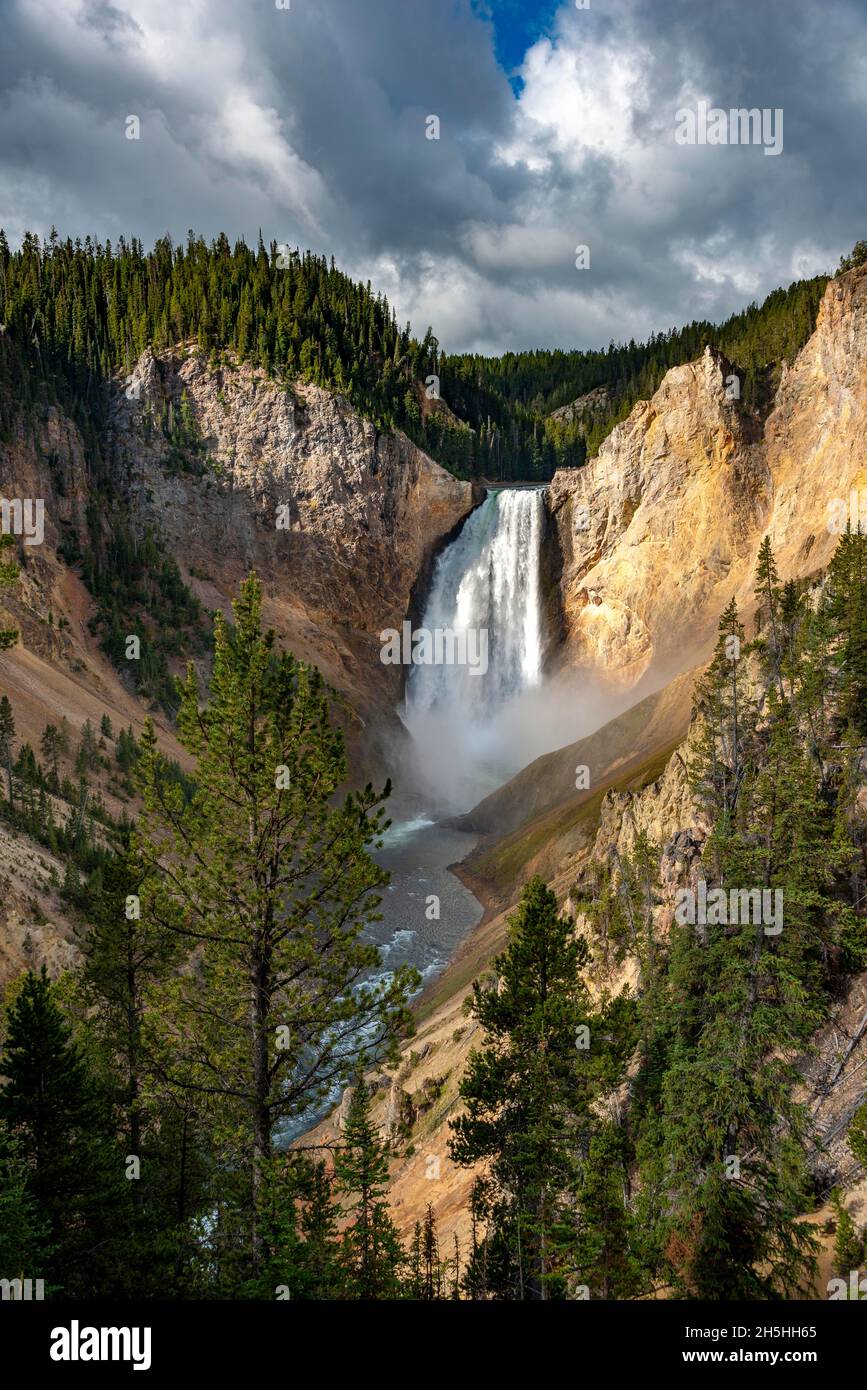Lower Falls, waterfall in a gorge, Grand Canyon of the Yellowstone River, view from North Rim, Red Rock Viewpoint, Yellowstone National Park Stock Photo