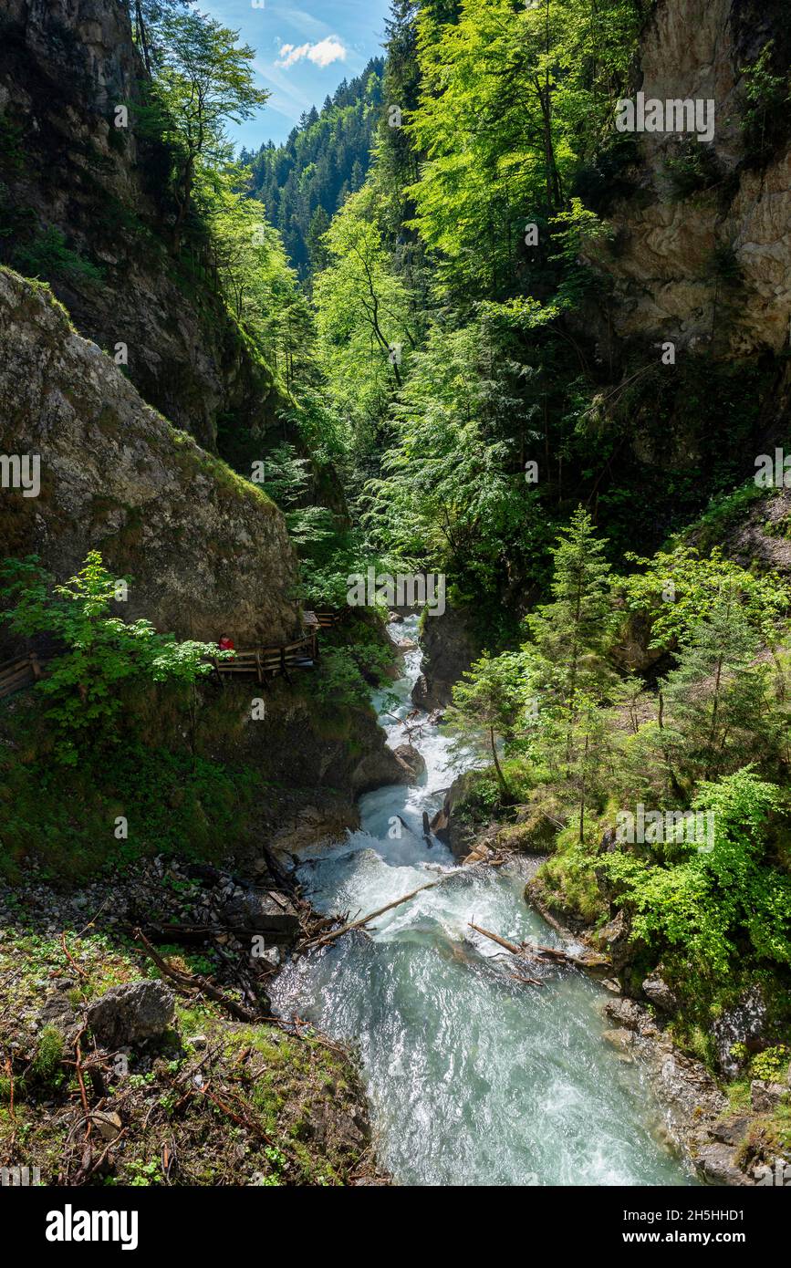 Mountain stream flowing through a narrow gorge, gorge with river ...