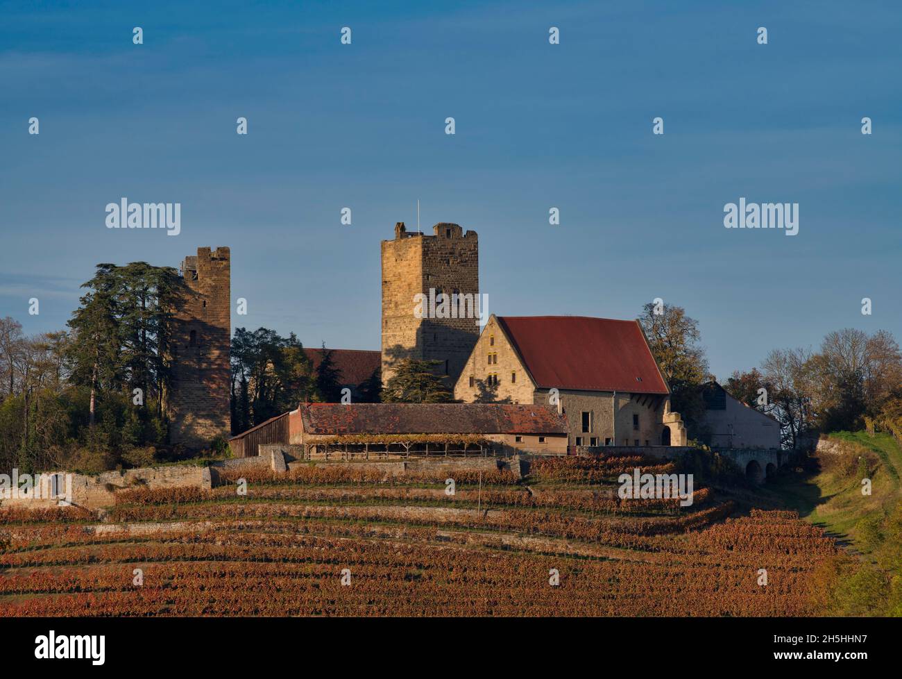Neipperg Castle in autumn, Neipperg Baden-Wuerttemberg, Germany Stock Photo