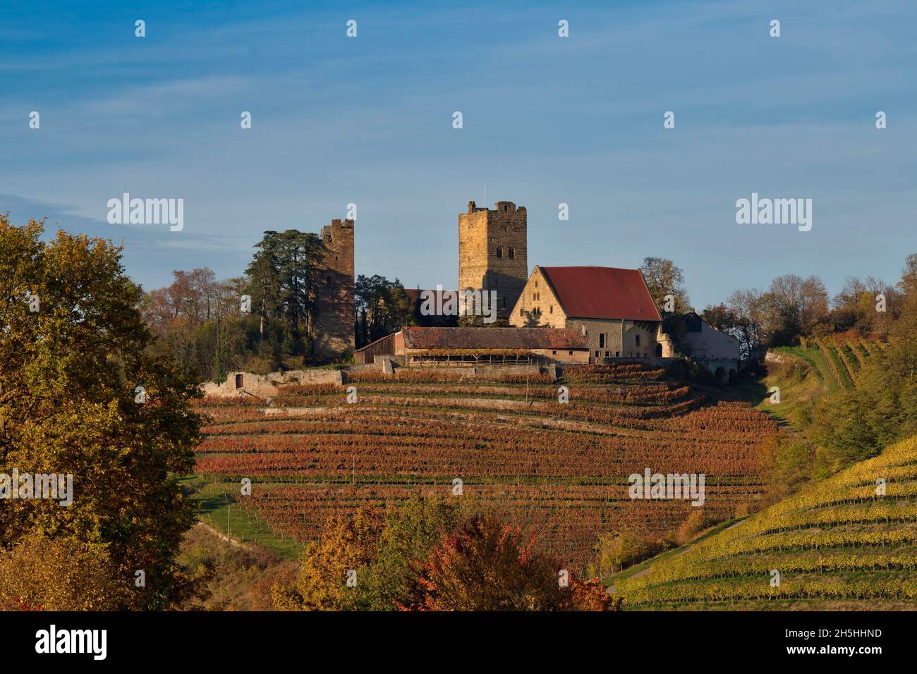 Neipperg Castle in autumn, Neipperg Baden-Wuerttemberg, Germany Stock Photo