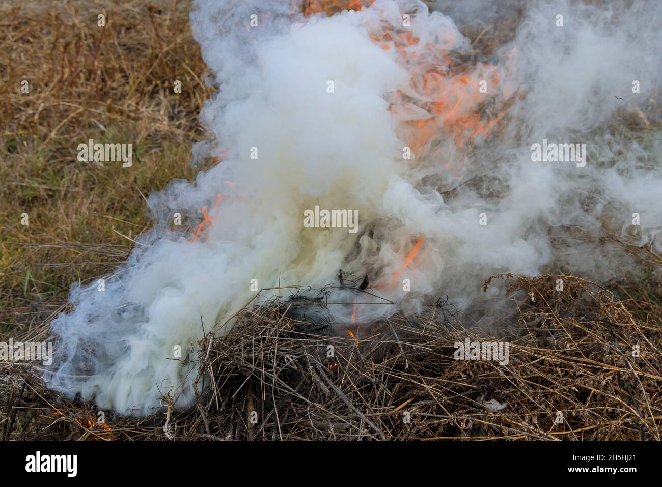Smoke rise from fire of fallen leaves, grass and garden refuse during autumn cleaning period Stock Photo