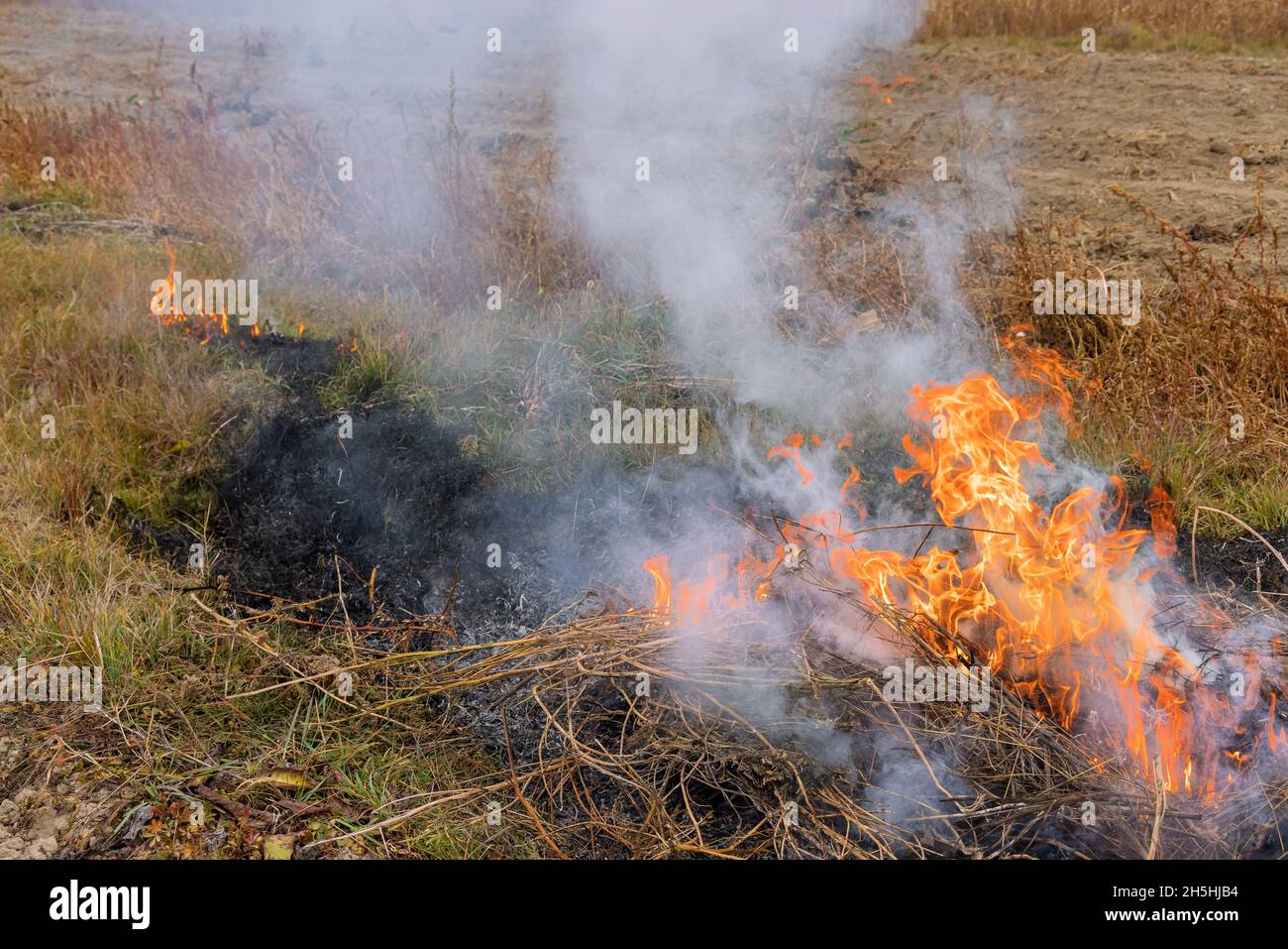 Smoke rise from fire of dry grass burning in a garden refuse during autumn cleaning period work Stock Photo