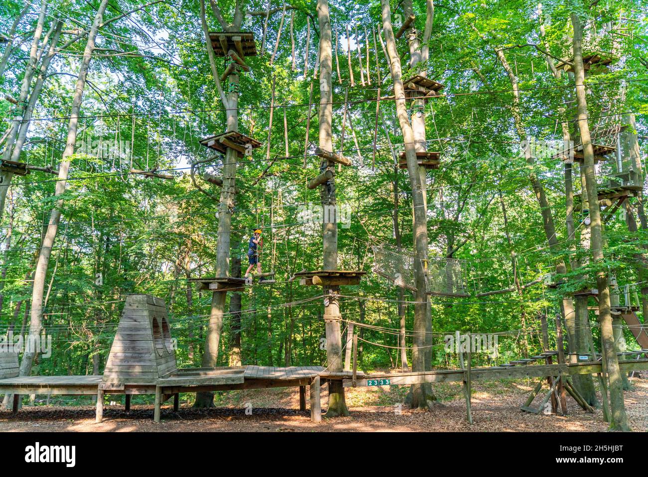 Boy climbing in the climbing forest and high ropes course, Potsdam