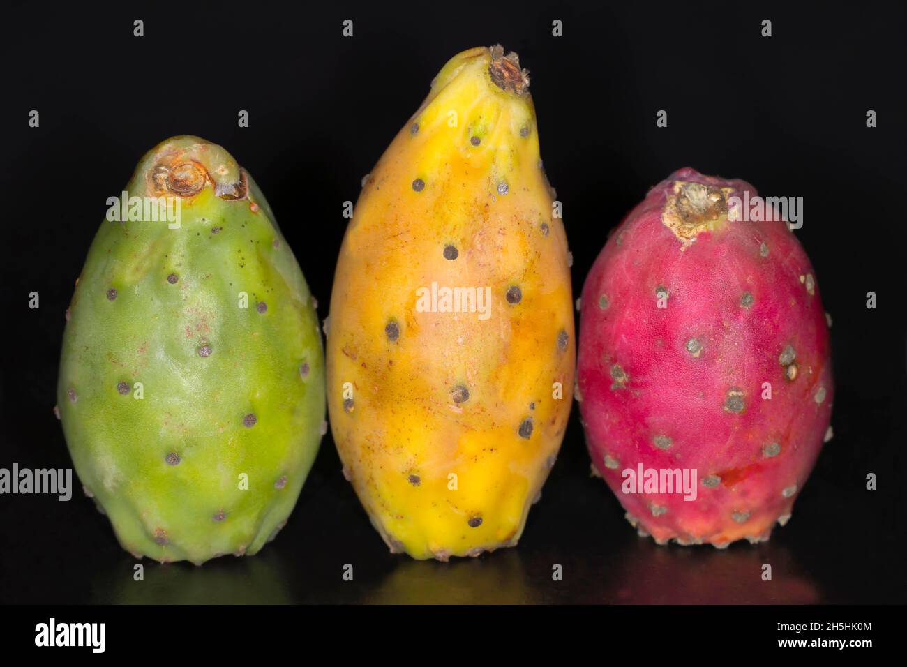 Cactus fruits in three different states of ripeness, studio photography with black background Stock Photo