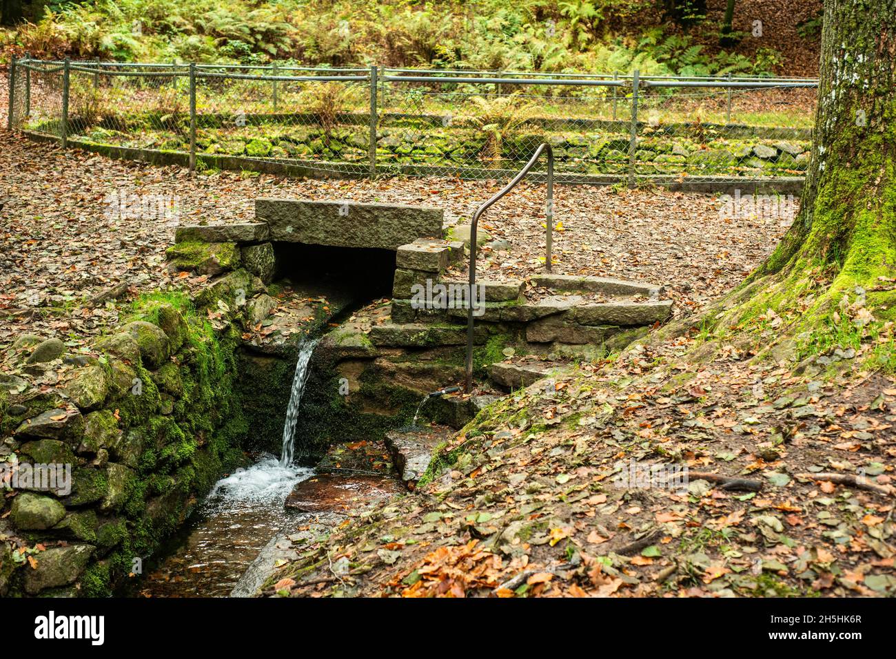 The radium source, an old healthy source in the forest in Tyringe, Scania, Sweden, Scandinavia Stock Photo
