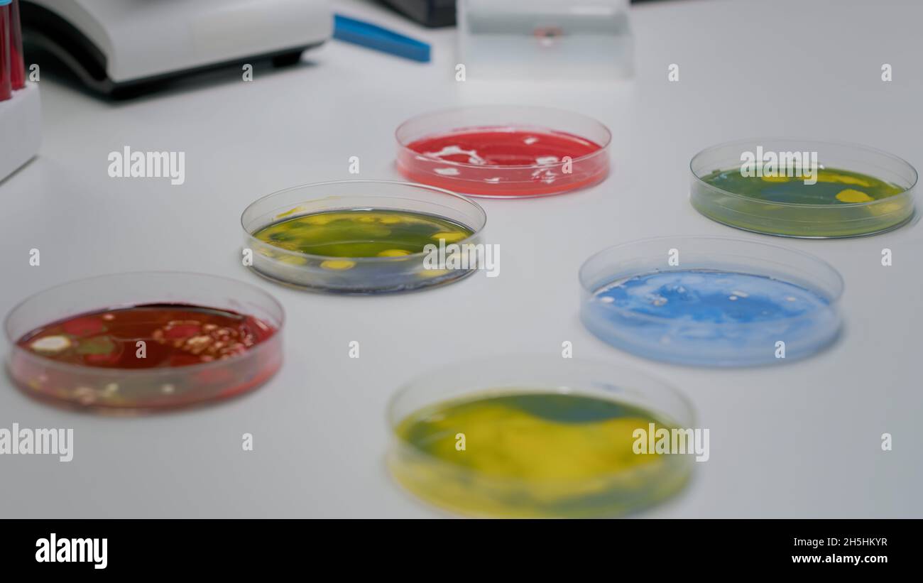 Close up of laboratory petri dish with biological liquid extraction placed on desk. Glass plates