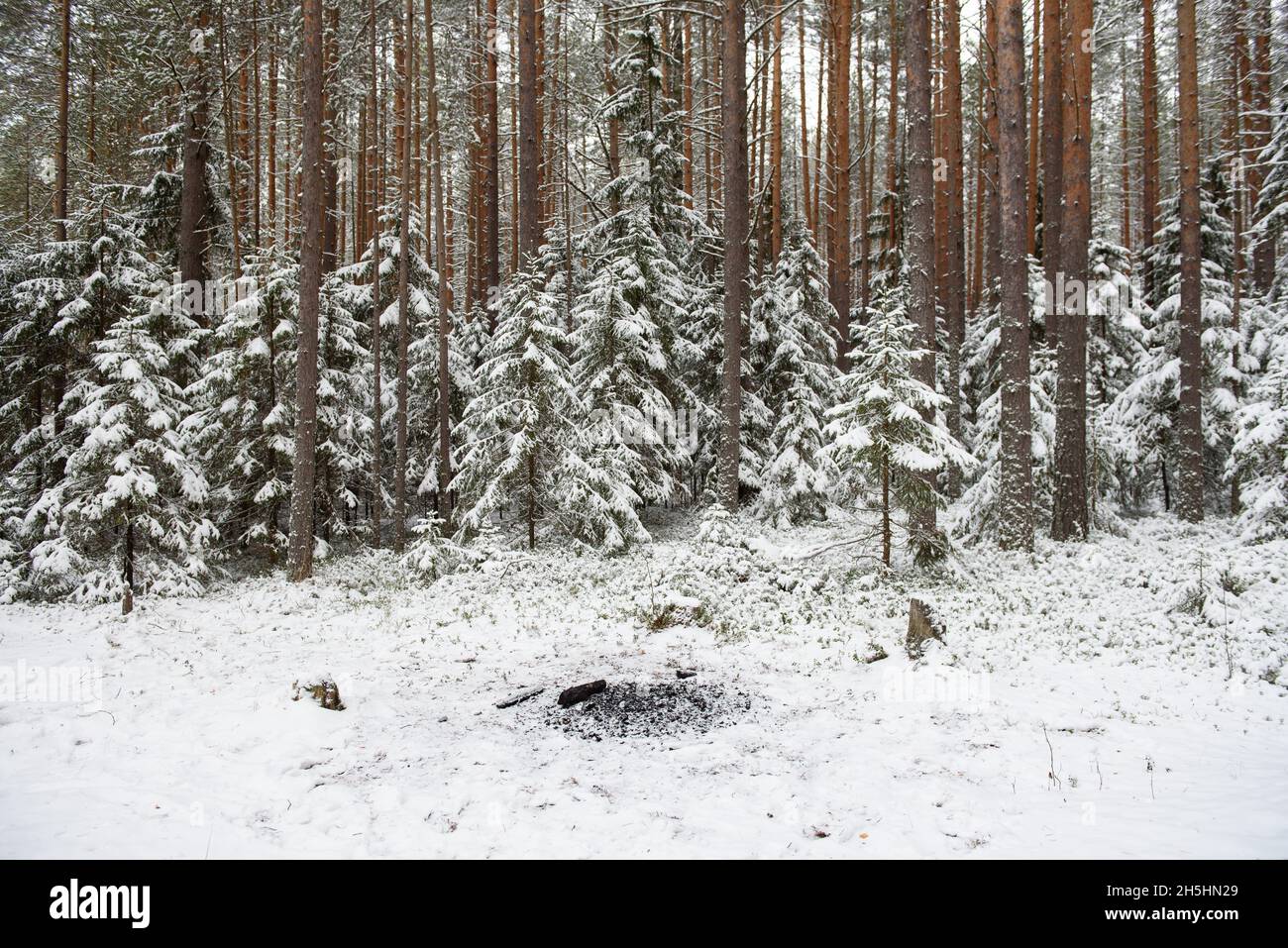 Human traces snow landscape hi-res stock photography and images - Alamy
