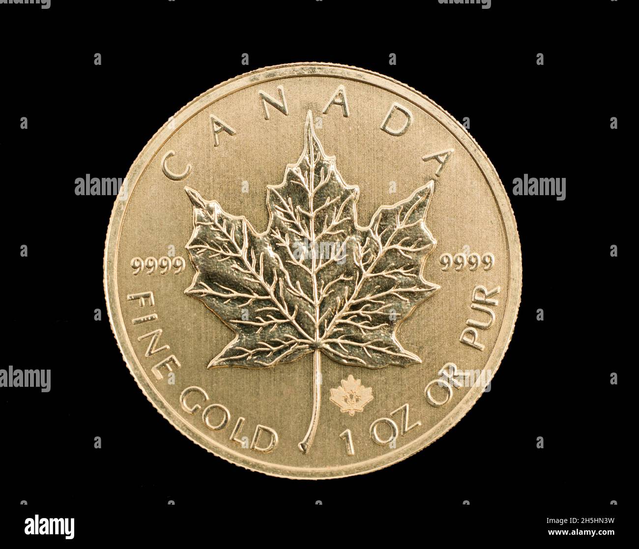 Canadian Gold Coin, Maple Leaf Reverse, 1 Ounce, 999, 9 Gold Stock ...