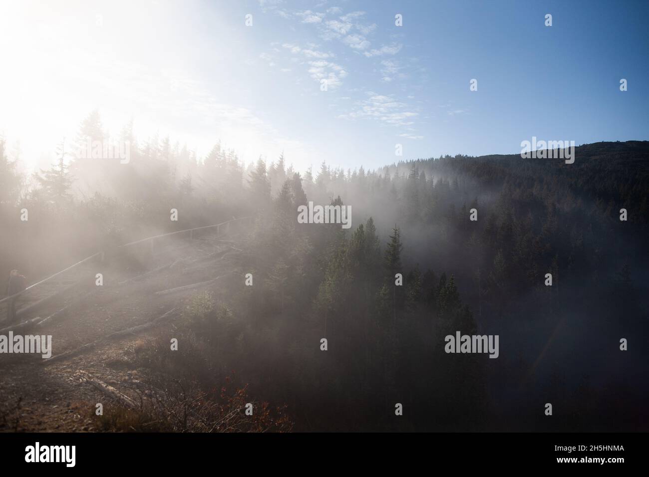 Sun shine through dense fog above forest on sunny day morning | Amazing weather with fog, clouds and sunbeams over coniferous forest on mountain trail Stock Photo