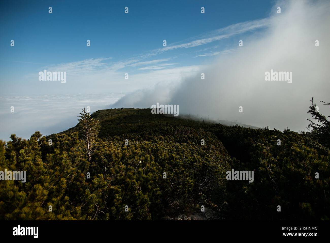Mountain flat ridge with cloud of fog driven by wind Scenic stunning view | Amazing weather with fog, clouds and sun on the mountain trail above cloud Stock Photo