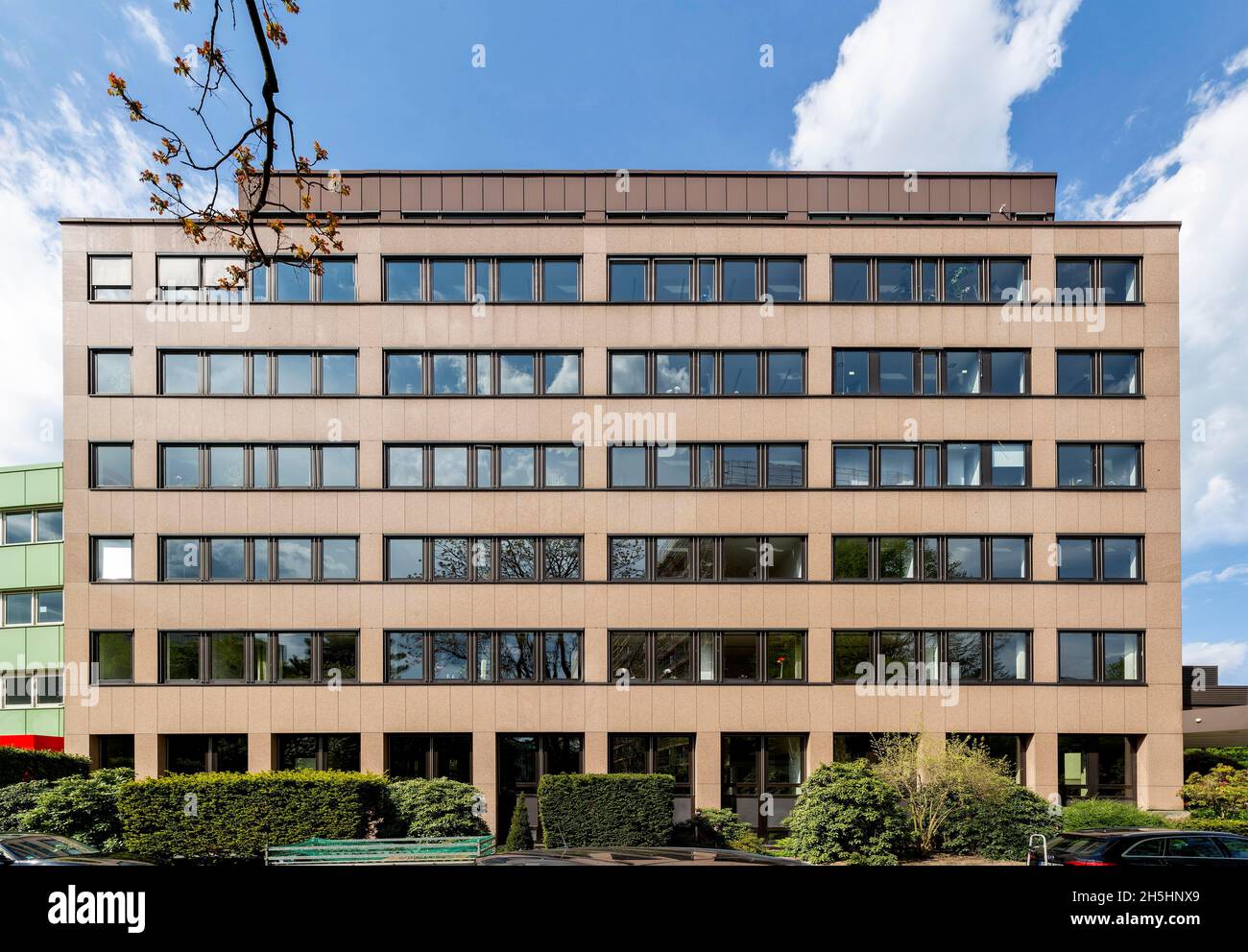 Chamber of public accountants hires stock photography and images Alamy