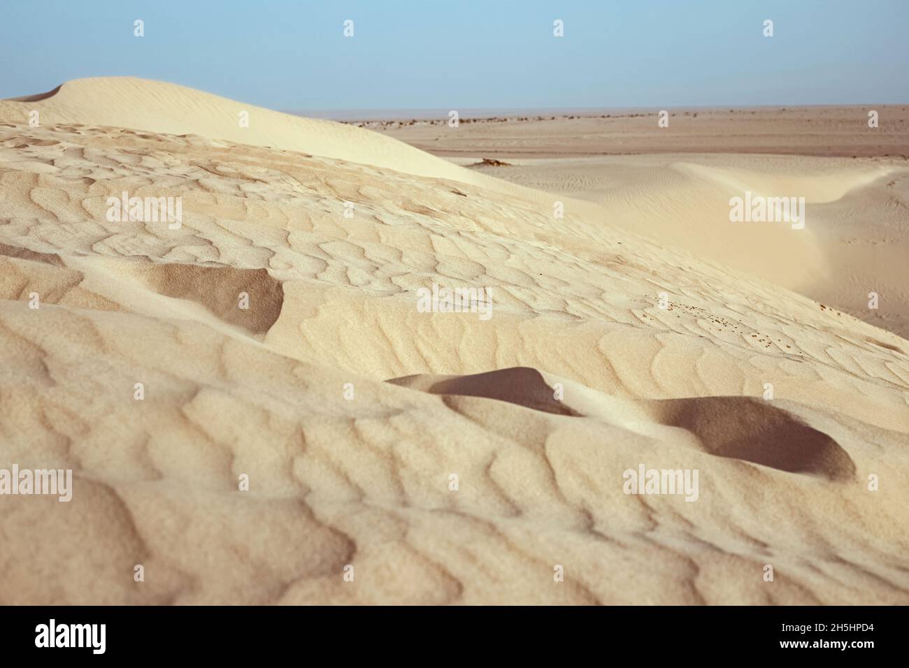 Lonely sand dunes in a strong wind under the sky against the background of arid desert Stock Photo