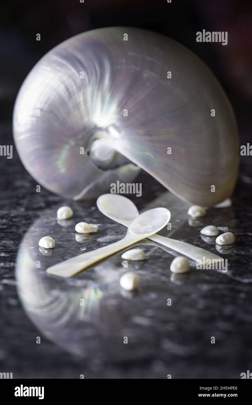 Vertical shot of Macoma shell and two spoons made from its material decorated with pearl shells Stock Photo
