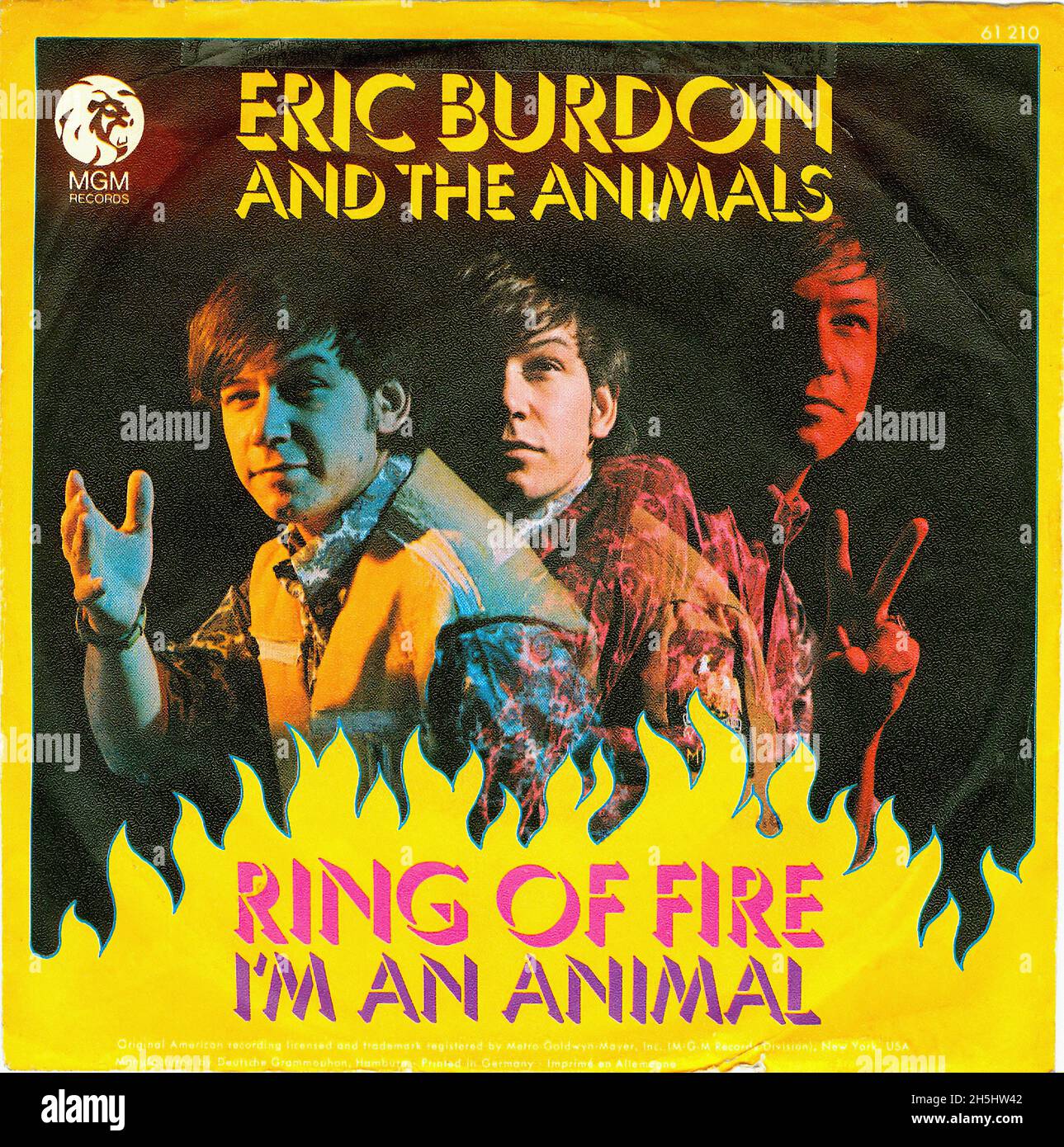 Vintage single record cover - Animals,The & Burdon, Eric - Ring Of Fire - D  - 1968 01 Stock Photo - Alamy