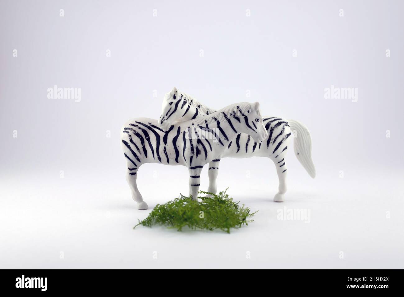 Icons of two embracing zebras on white background Stock Photo