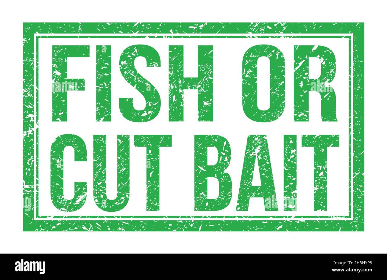 FISH OR CUT BAIT, words written on green rectangle stamp sign Stock