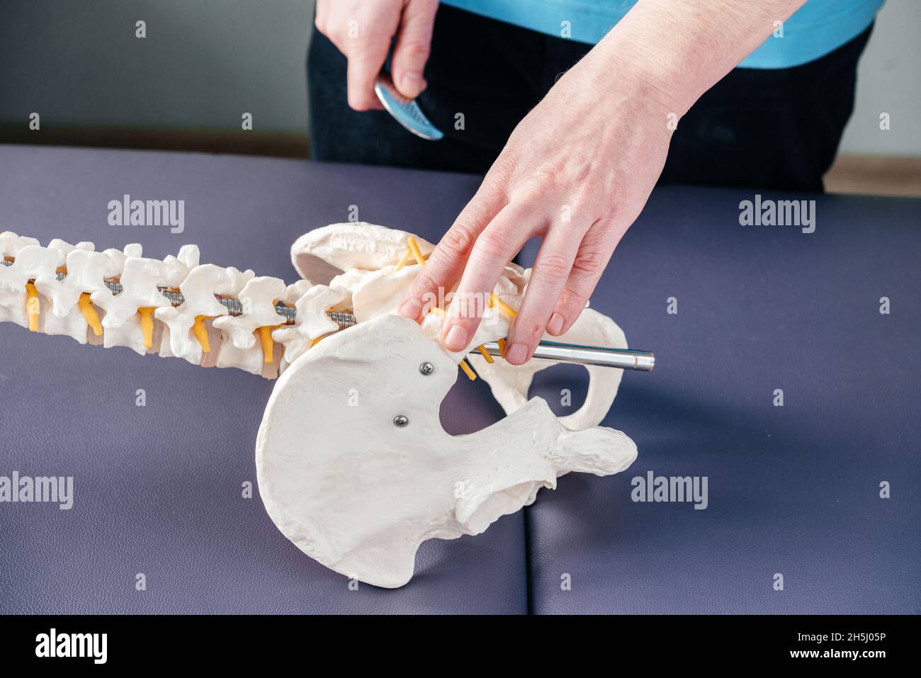 Physical therapist pointing at SI sacroiliac joint on Flexible